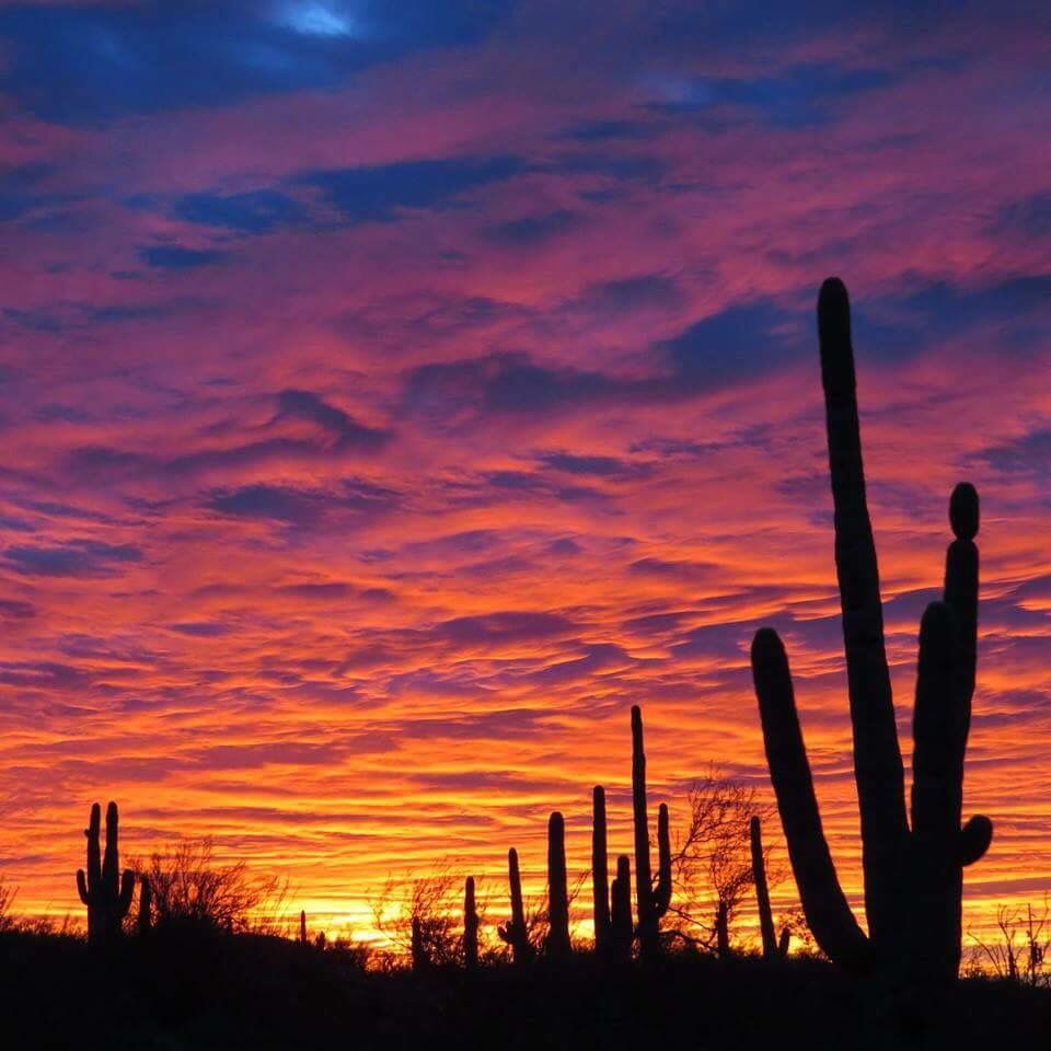Arizona sunset